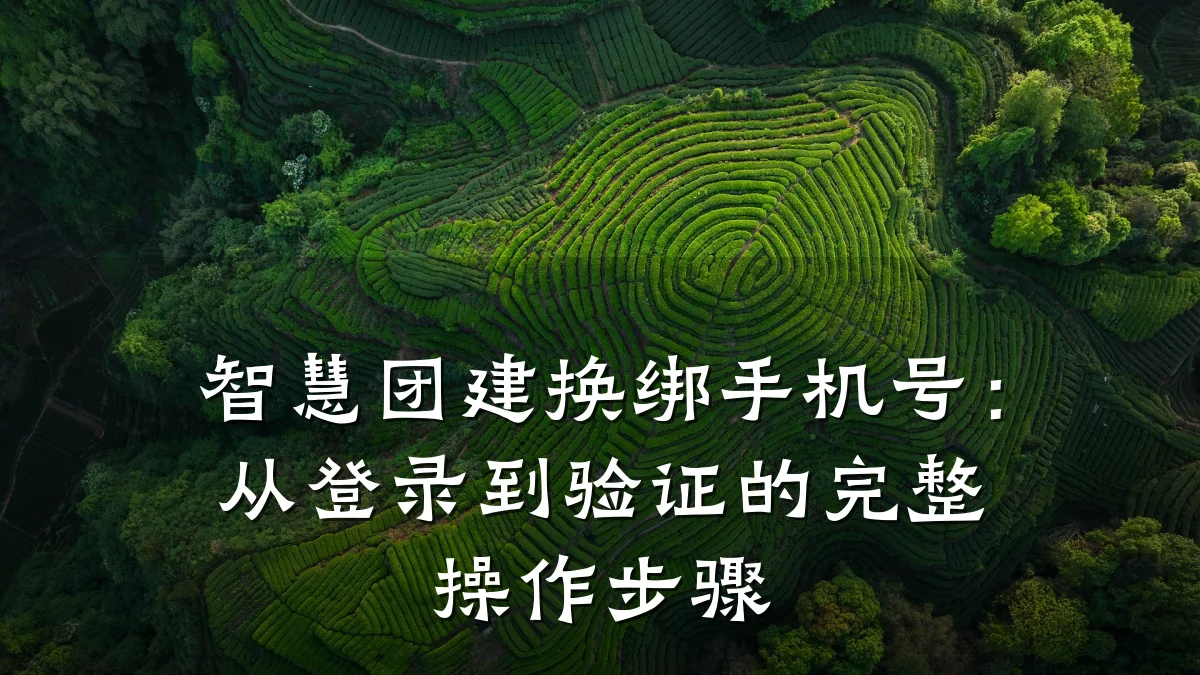 智慧团建换绑手机号:从登录到验证的完整操作步骤