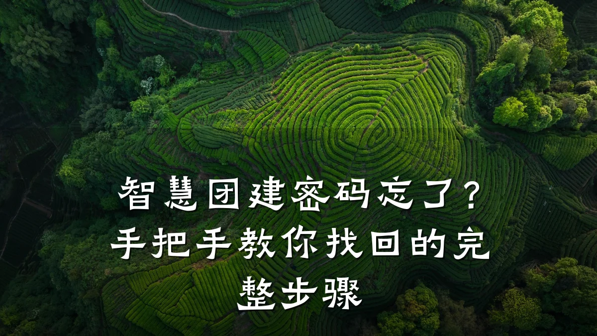 智慧团建密码忘了?手把手教你找回的完整步骤