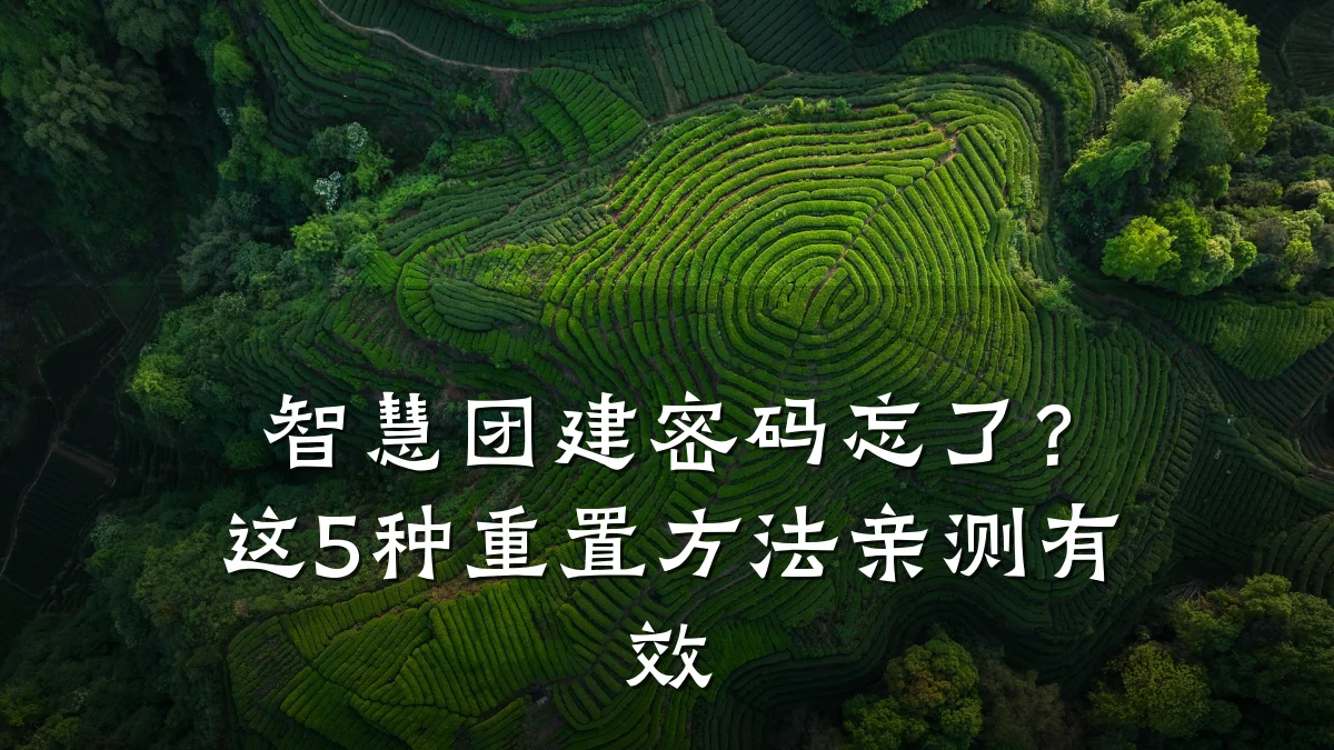 智慧团建密码忘了?这5种重置方法亲测有效