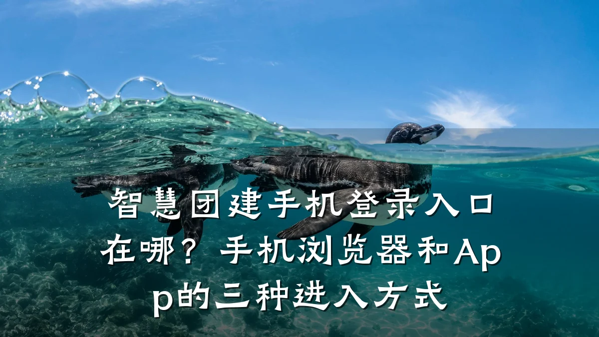 智慧团建手机登录入口在哪?手机浏览器和App的三种进入方式