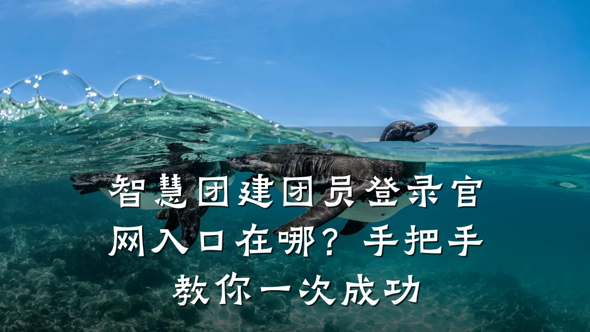 智慧团建团员登录官网入口在哪?手把手教你一次成功