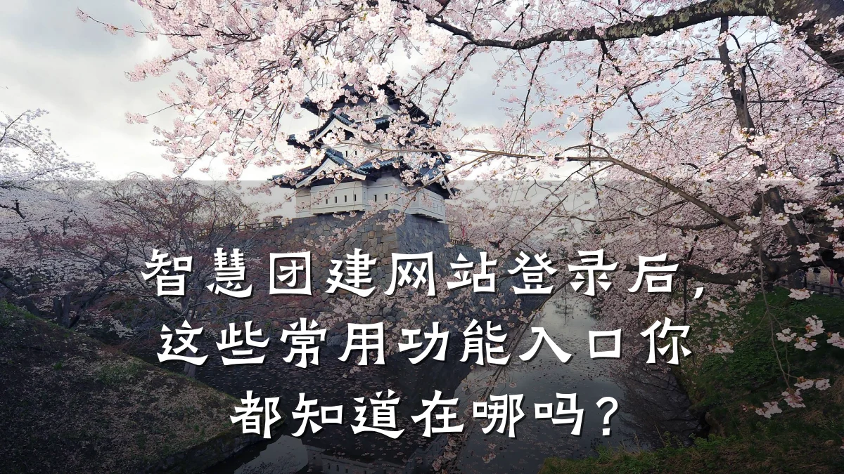 智慧团建网站登录后,这些常用功能入口你都知道在哪吗?