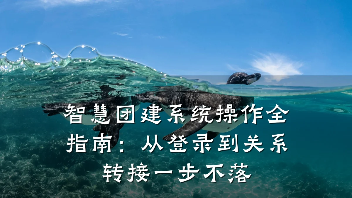 智慧团建系统操作全指南：从登录到关系转接一步不落