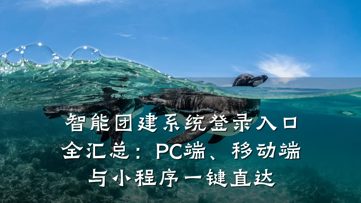 智能团建系统登录入口全汇总:PC端、移动端与小程序一键直达