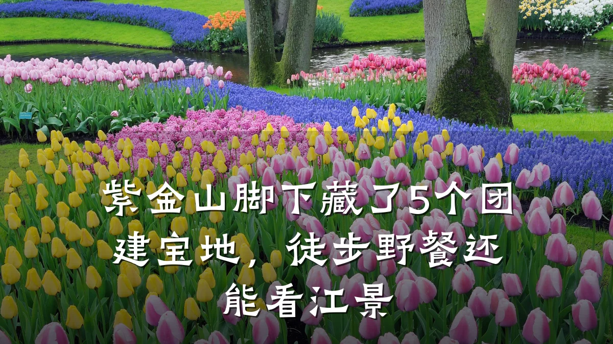 紫金山脚下藏了5个团建宝地,徒步野餐还能看江景